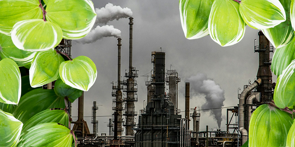 Unmasking Impact Washing: Keys to genuine impact investing